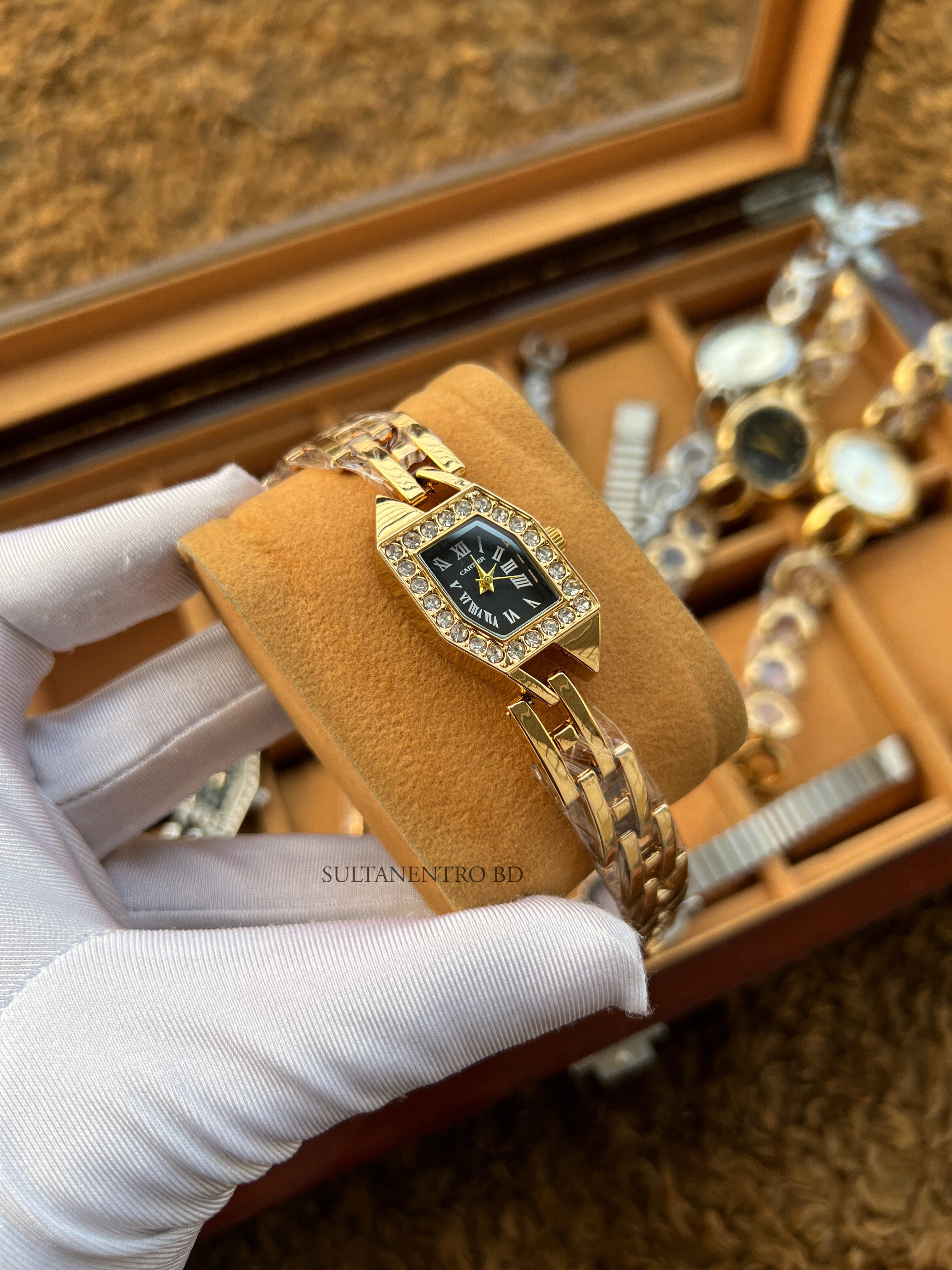 Cartier Stone Female Watch